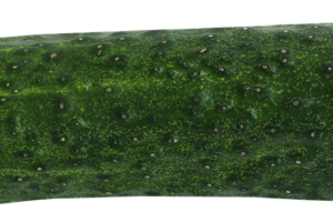 cucumber, food, healthy, meal, garden, raw food, vegetables, cucumber salad, nature, snake pickle, nourishment, salad, isolated