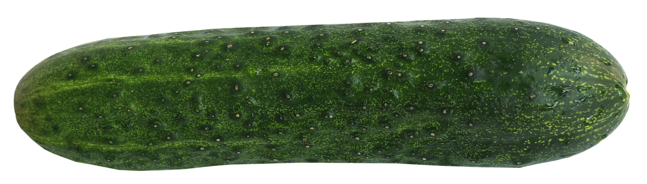 cucumber, food, healthy, meal, garden, raw food, vegetables, cucumber salad, nature, snake pickle, nourishment, salad, isolated